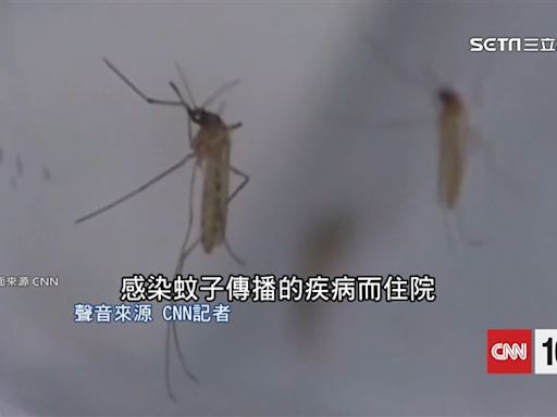 防蚊大作戰！蚊子「吸血機制」被破解 4招不被叮咬