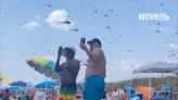 A dragonfly apocalypse! Thousands of bugs ruin a perfect day for Rhode Island beachgoers