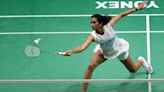 PV Sindhu collapses in decider to lose Malaysia Masters final to Wang Zhi Yi