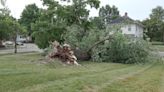 Local disaster declaration issued after storms damage Monroe County