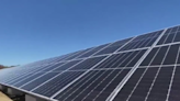 New Jersey installs solar panels on 40 acres of land to power 1,600 homes