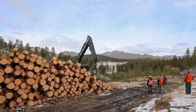 Black Hills sawmill lays off workers and alleges Forest Service is to blame