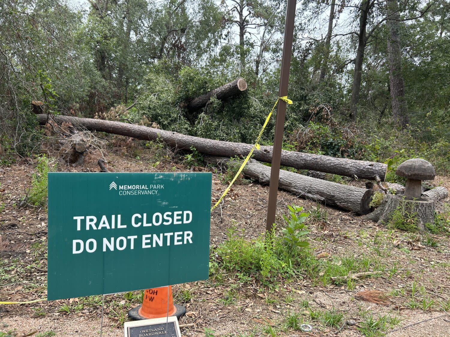 Some Houston parks partially closed due to downed trees, damage from recent storms | Houston Public Media