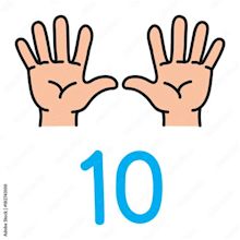 Kid's hand showing the number ten hand sign. Stock Vector | Adobe Stock