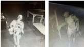 University of Arizona fraternity burglarized