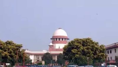 Delhi HC judge recuses himself from hearing pleas concerning 2019 Jamia violence | Business Insider India