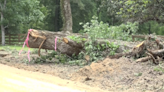 Jasper County recovering from storm damage, trees falling on roads