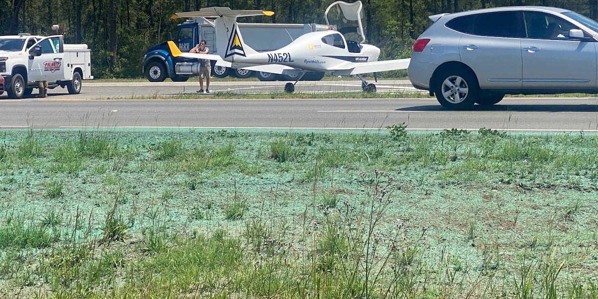 ‘It was a miracle’: Witnesses describe seeing small plane land on busy Highway 501