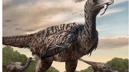 Megaraptor discovered in China may have rivaled velociraptors of 'Jurassic Park:' Study