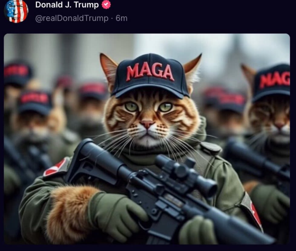 AI memes of cats, Trump and Harris flood social media during debate