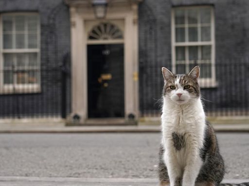 Larry the Downing Street cat in line for his sixth prime minister