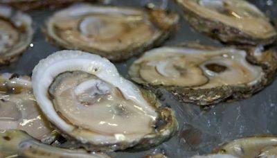 FDA warns California restaurants, diners to avoid certain half-shell oysters