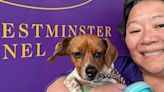 Wilmington woman and her All-American dog achieve big marks at Westminster competition