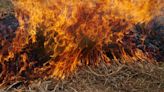 Fort Myers Beach following Lee County burn ban