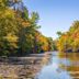 Bays Mountain Park