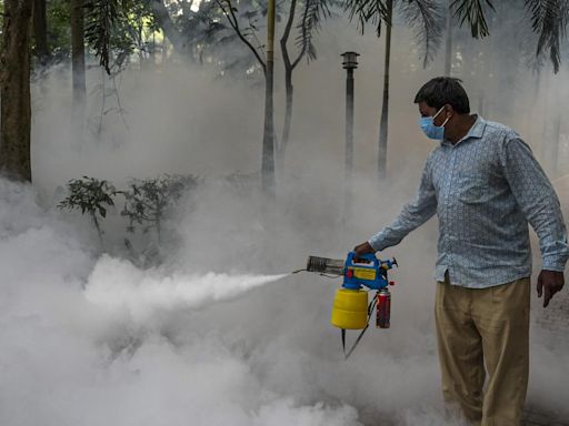 Amid surge in cases, Karnataka to announce price cap on dengue tests in private hospitals