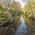 Red Cedar River (Michigan)