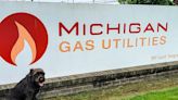 Raven Ruckus named Michigan Gas Utilities' next 'ambassadog'