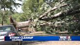 Dozens of crews help clean up Columbus after storm