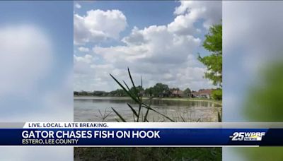 Gator grabs fish off boy’s fishing hook in Florida