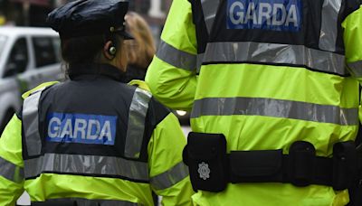 Father of boy, 8, attacked by dog in Limerick said dog 'tore the face off him'