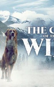 The Call of the Wild (2020 film)