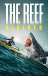 The Reef: Stalked