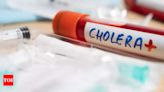 2 found positive for cholera in diarrhoea-hit Punjab's Kapurthala | Chandigarh News - Times of India