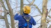 M & M Tree Cutting Inc. Unveils Comprehensive Tree Removal Services