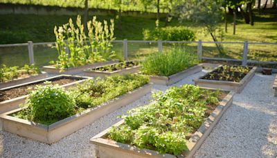 35 Raised Garden Bed Ideas to Transform Your Outdoor Space