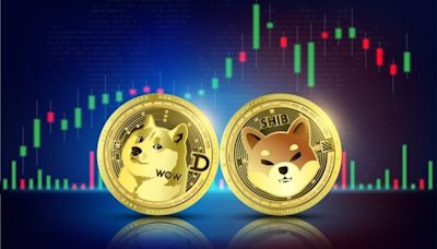 Dogecoin, Shiba Inu, Pepe Crash Over 10%: 'There Are No Blue Chips' Among Memes, Warns Trader