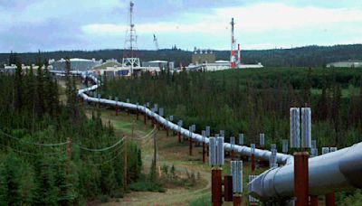 Environmentalists urge US to plan 'phasedown' of Alaska's key oil pipeline amid climate concerns