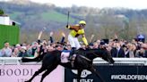 How the Cheltenham Festival provides the finest climax to the jump racing season