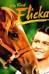 My Friend Flicka (film)