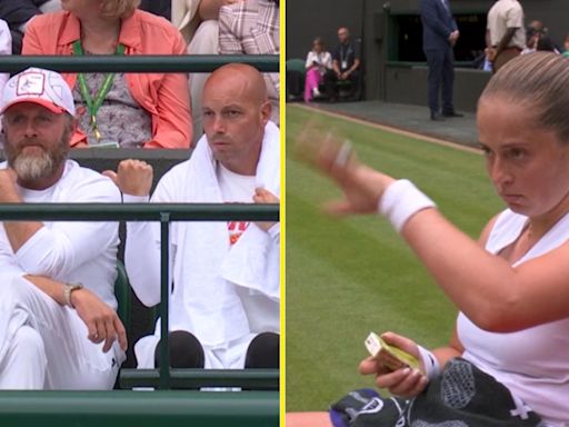 Tennis star makes bizarre request during Wimbledon match and immediately works