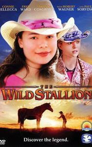 The Wild Stallion