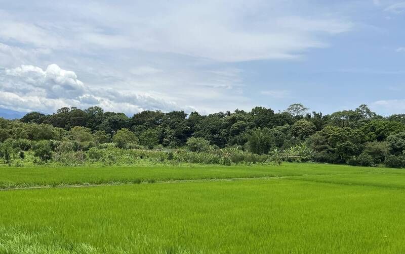 竹科三期聚焦獲初步共識 將進入土徵公益性及必要性評估程序