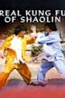 Real Kung Fu of Shaolin