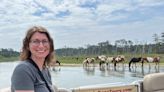 I paid $50 to take a boat tour around a beautiful island in Virginia filled with wild ponies. It should be on everyone's bucket list.