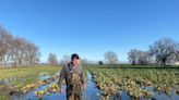 Northern California farmers saw crops drown in rain. Will it hurt local market prices?