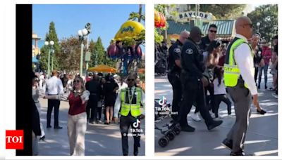 Watch: Disneyland arrests woman for attempting to sneak kids without ticket - Times of India