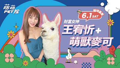 富邦悍將》來場動物派對！ 6月1日、2日羊駝麥可、瑞士狼犬薩沙萌萌開球