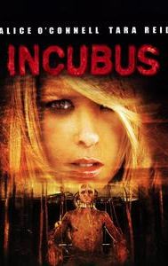 Incubus