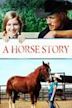 A Horse Story