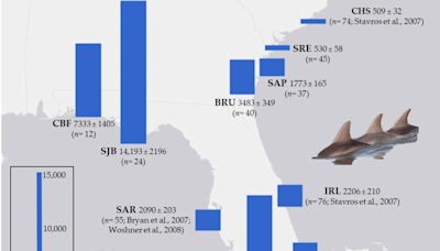 Federal study shows high mercury level in dolphins in the Southeast United States