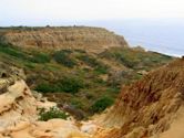 Torrey Pines State Natural Reserve