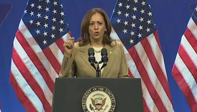 Quién es Kamala Harris, la candidata demócrata que podría hacer historia en EEUU