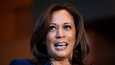 "She Would Have Zero Respect From Other World Leaders": People Are Sharing If They'd Vote For Kamala Harris...