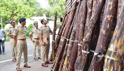 158 red sanders logs seized, five arrested in Kadapa district