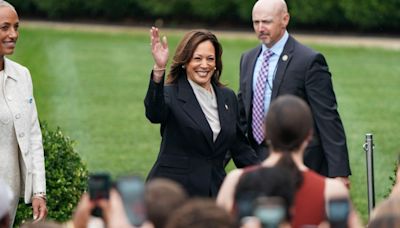 Pelosi endorses Harris as Democratic nominee